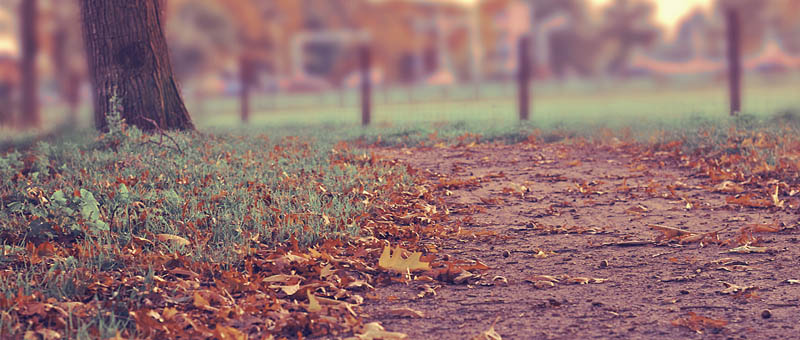 稳定不闪退的ddos在线攻击测试网站