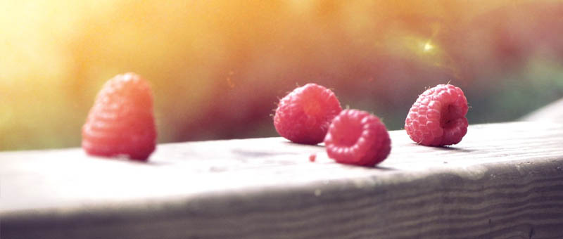 快速故障隔离的doss网站攻击